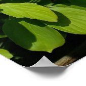 Struik met witte bloemen poster (Hoek)