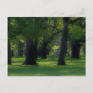 Struik Park Salem Oregon Briefkaart