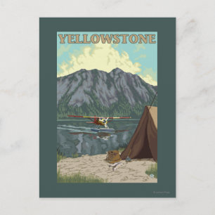 Struik Plane & Vist - Yellowstone National Briefkaart
