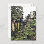 Struik Prints Nieuw-Zeeland Briefkaart (Voorkant / Achterkant)