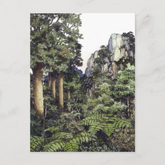 Struik Prints Nieuw-Zeeland Briefkaart (Voorkant)