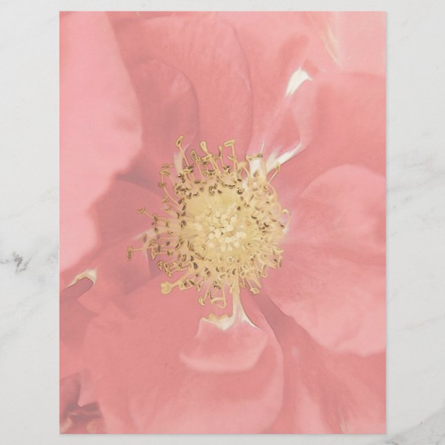 Struik Rozen Mono (Voorkant)