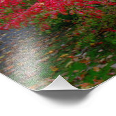 Struik verbranden foto afdruk (Hoek)