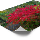 Struik verbranden poster (Hoek)