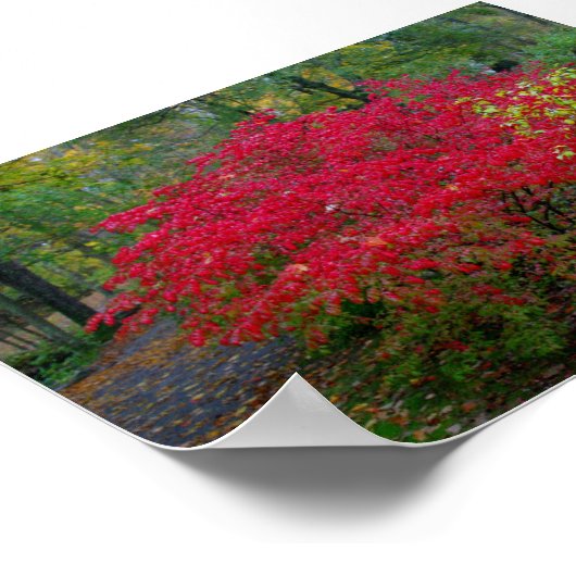 Struik verbranden poster (Hoek)