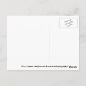 struik voor de bloei van de azalea briefkaart (Achterkant)