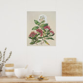  struikbloei poster (Keuken)