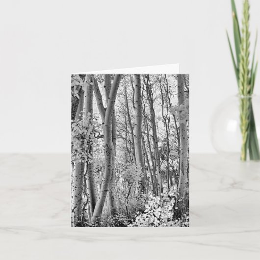 Struikgewas Kaart (Voorkant)