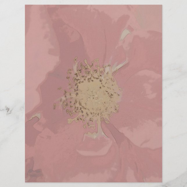 Struikrozen DoffePastel (Voorkant)