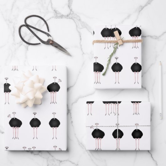 Struisbladen Papier voor onmiddellijke verpakking Inpakpapier Vel (Voorkant)