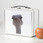 struisvogel (In situ)