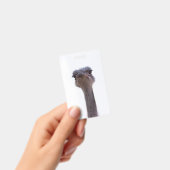 struisvogel badge (Handheld)