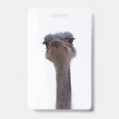 struisvogel badge (Achterkant)