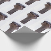 struisvogel cadeaupapier (Hoek)