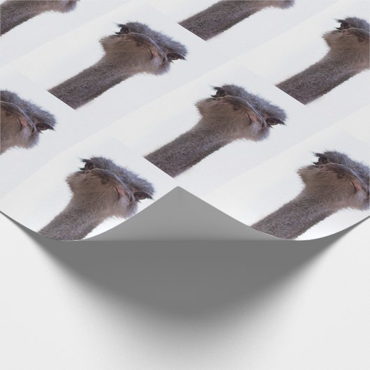 struisvogel cadeaupapier (Hoek)