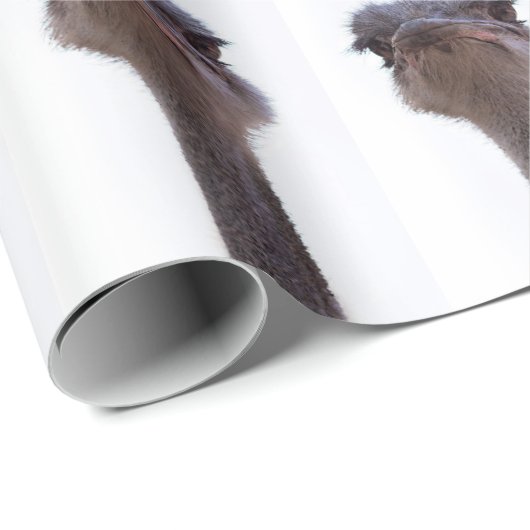 struisvogel cadeaupapier (Rol Hoek)