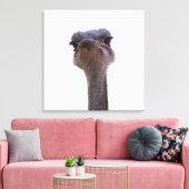 struisvogel canvas afdruk (Insitu (Woonkamer))