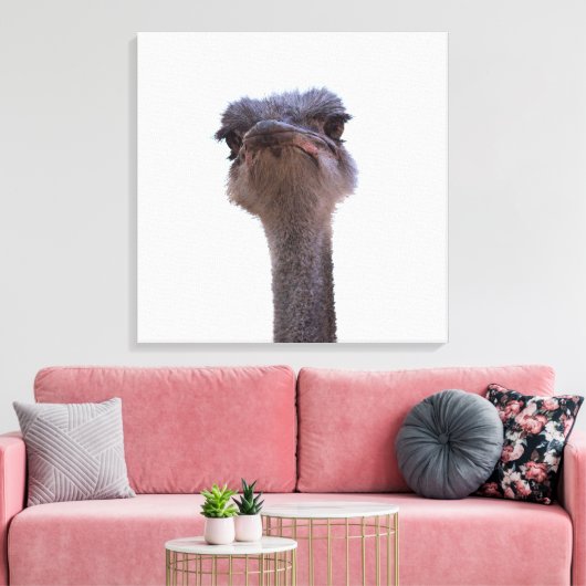 struisvogel canvas afdruk (Insitu (Woonkamer))