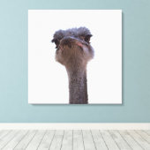 struisvogel canvas afdruk (Insitu (Houten vloer))