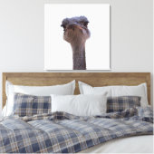 struisvogel canvas afdruk (Insitu (Slaapkamer))