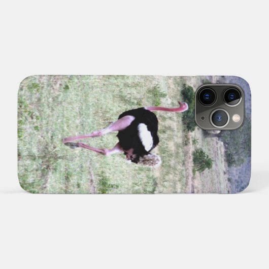 struisvogel Case-Mate iPhone case (Achterkant (horizontaal))