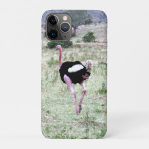 struisvogel Case-Mate iPhone case