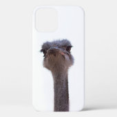 struisvogel Case-Mate iPhone case (Achterkant)