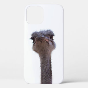 struisvogel Case-Mate iPhone case