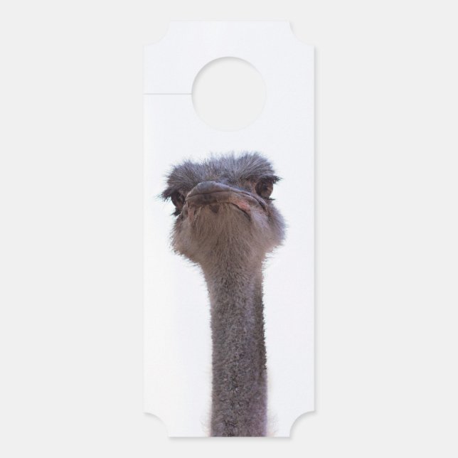 struisvogel deurhanger (Voorkant)
