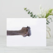 struisvogel feestdagenkaart (Staand voorkant)