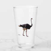 Struisvogel glas (Voorkant)