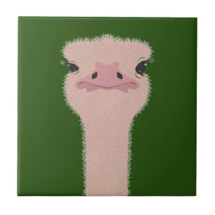 Struisvogel grappig gezicht tegeltje