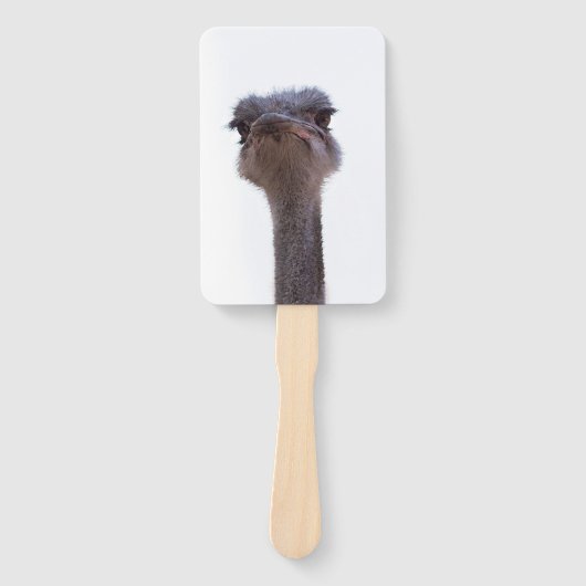struisvogel handwaaier (Voorkant)