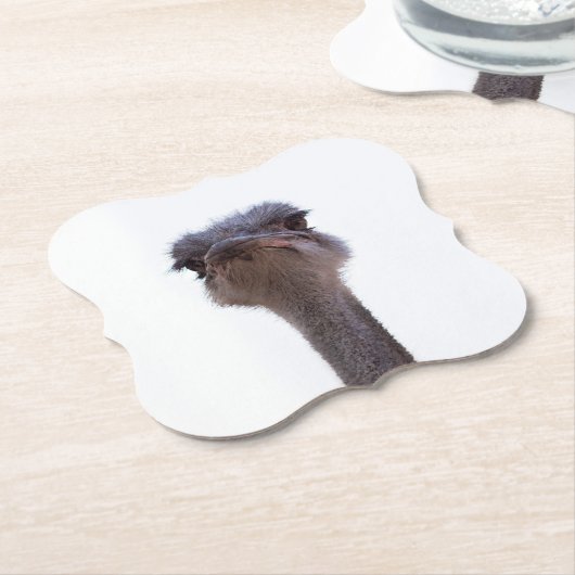 struisvogel kartonnen onderzetters (Gekanteld)