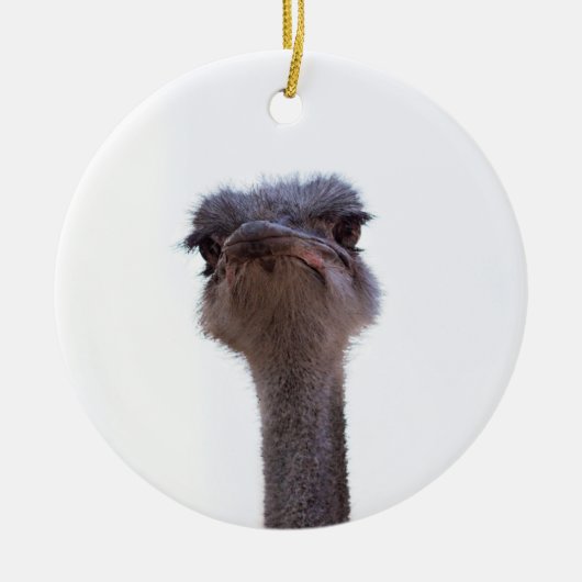 struisvogel keramisch ornament (Voorkant)