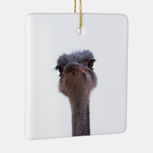 struisvogel keramisch ornament (Rechts)