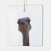 struisvogel keramisch ornament (Links)