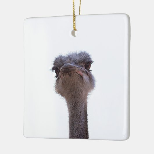 struisvogel keramisch ornament (Links)