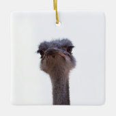 struisvogel keramisch ornament (Voorkant)