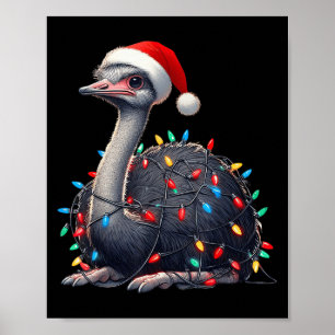 Struisvogel Kerstverlichting Grappige Kerstman Hoe Poster