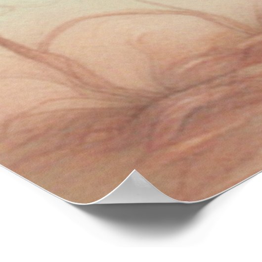 Struisvogel liefde 3 poster (Hoek)