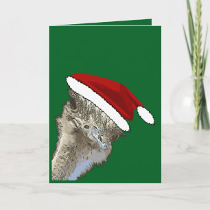 Struisvogel met kerstmuts Kerst Dierentuin Dier Feestdagen Kaart