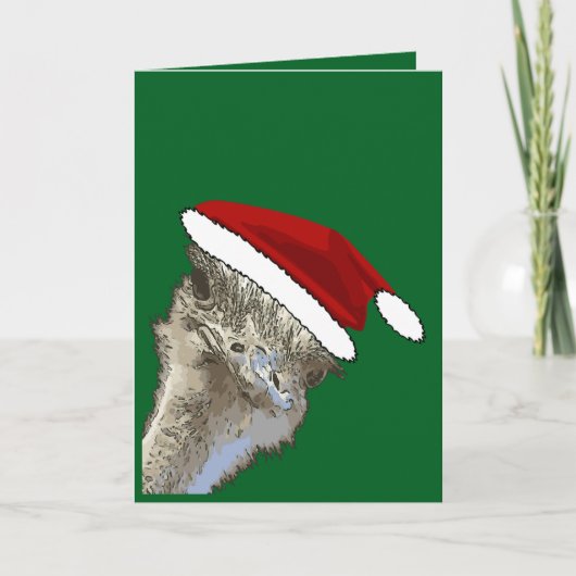 Struisvogel met kerstmuts Kerst Dierentuin Dier Feestdagen Kaart (Voorkant)