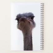 struisvogel notitieboek (Achterkant)