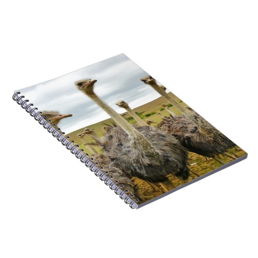 struisvogel notitieboek (Rechterzijde)