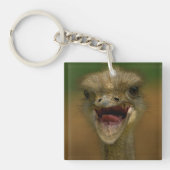 Struisvogel omhelst sleutelhanger (voorkant)