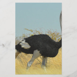 Struisvogel op een ren briefpapier