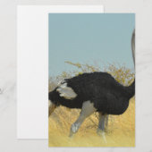 Struisvogel op een ren briefpapier (Voorkant / Achterkant)