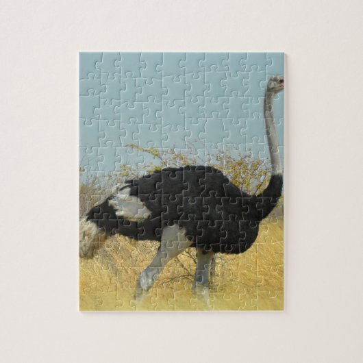 Struisvogel op een ren legpuzzel (Verticaal)