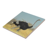 Struisvogel op een ren tegeltje (Zijkant)